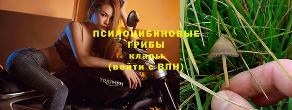 а пвп мука Беломорск